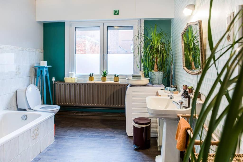 Vakantiewoning In Mol Centrum Met Eigen Bar "Casacuriosa" Eksteriør bilde